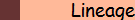 Testimonials