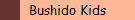 Bushido Kids